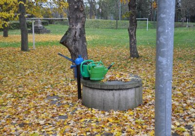 Počedělice, Omnium, 2020