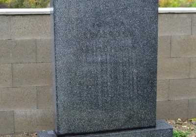 Volenice, Omnium, 2020