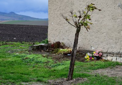 Volenice, Omnium, 2020