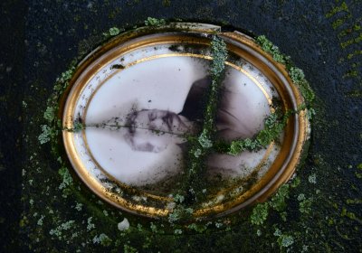 Horní Ročov, Omnium, 2020