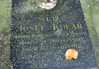 Horní Ročov, Omnium, 2020