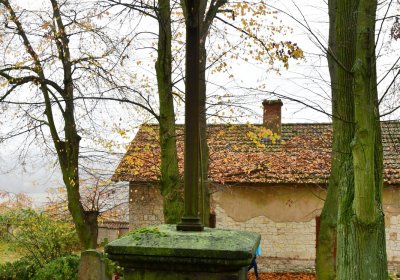 Horní Ročov, Omnium, 2020