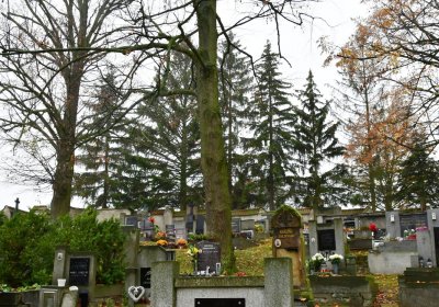 Horní Ročov, Omnium, 2020