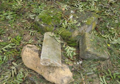 Minice, Omnium, 2020