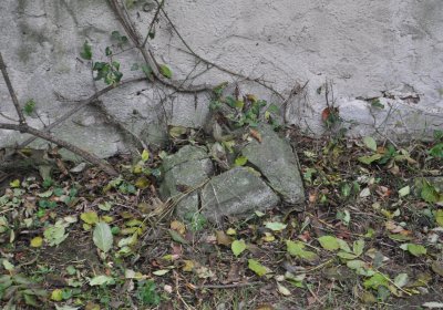 Minice, Omnium, 2020