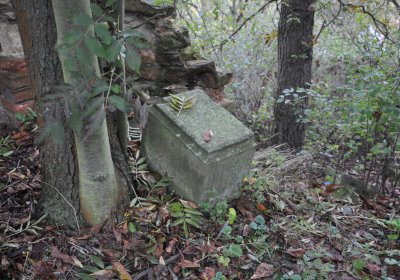 Minice, Omnium, 2020