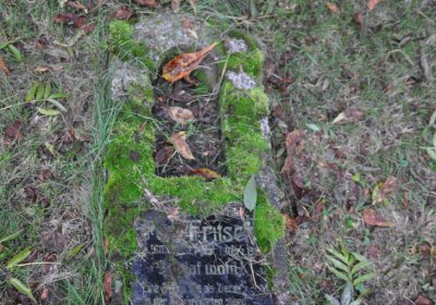 Minice, Omnium, 2020