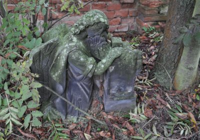 Minice, Omnium, 2020