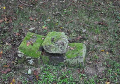 Minice, Omnium, 2020