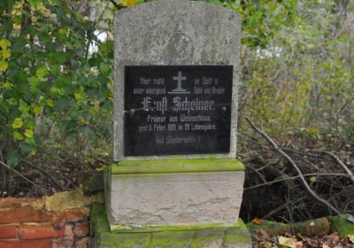 Minice, Omnium, 2020