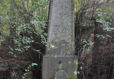 Minice, Omnium, 2020