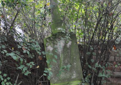 Minice, Omnium, 2020