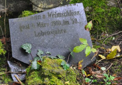 Minice, Omnium, 2020