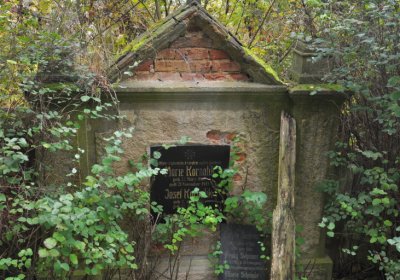 Minice, Omnium, 2020