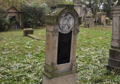 Minice, Omnium, 2020