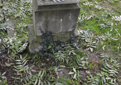 Minice, Omnium, 2020