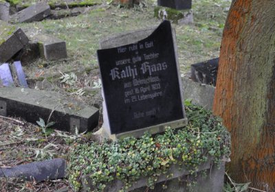 Minice, Omnium, 2020