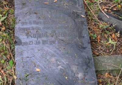 Minice, Omnium, 2020