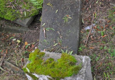 Minice, Omnium, 2020