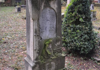 Minice, Omnium, 2020