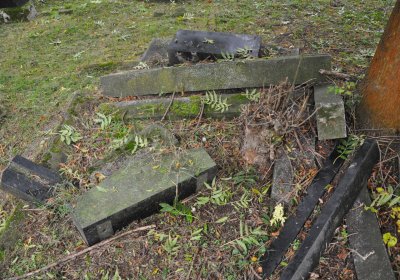 Minice, Omnium, 2020