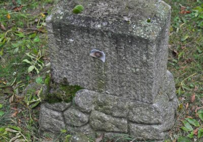 Minice, Omnium, 2020