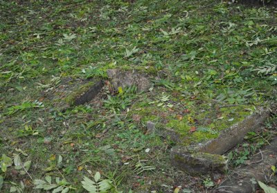 Minice, Omnium, 2020