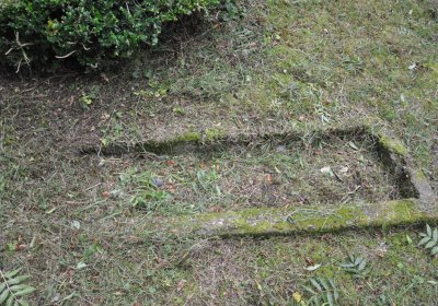 Minice, Omnium, 2020