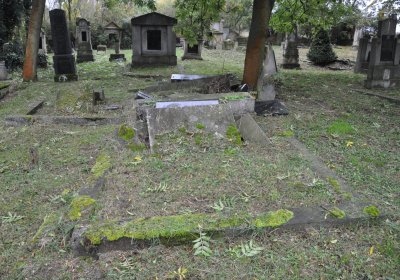 Minice, Omnium, 2020