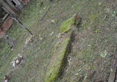 Minice, Omnium, 2020