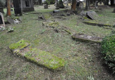 Minice, Omnium, 2020