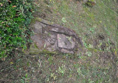 Minice, Omnium, 2020