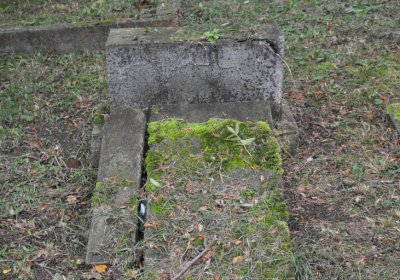 Minice, Omnium, 2020