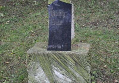 Minice, Omnium, 2020