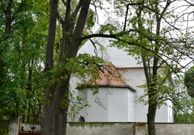 Minice, Omnium, 2020