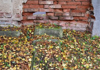 Minice, Omnium, 2020