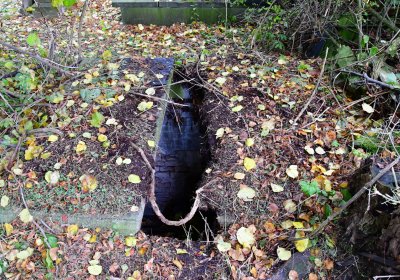 Minice, Omnium, 2020