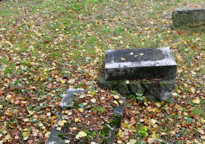 Minice, Omnium, 2020