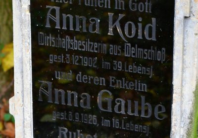 Minice, Omnium, 2020