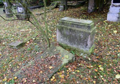 Minice, Omnium, 2020