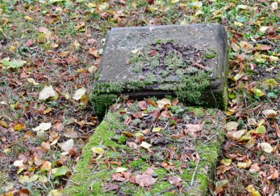 Minice, Omnium, 2020