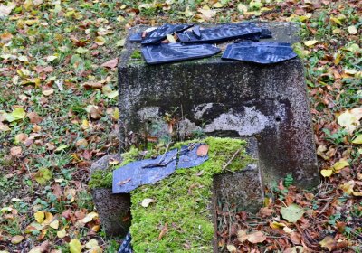 Minice, Omnium, 2020