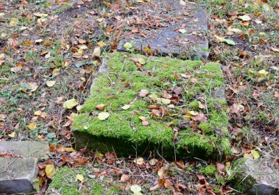 Minice, Omnium, 2020