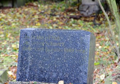 Minice, Omnium, 2020