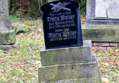 Minice, Omnium, 2020