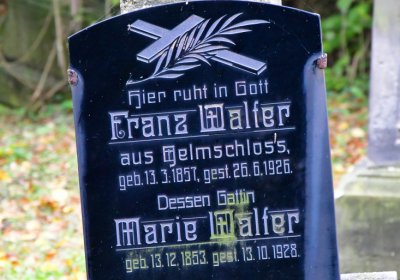 Minice, Omnium, 2020