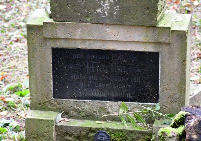 Minice, Omnium, 2020