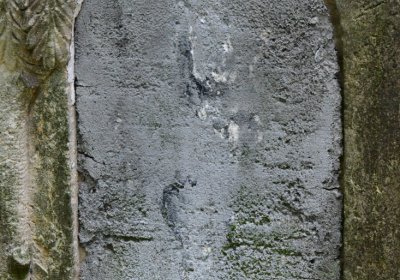 Minice, Omnium, 2020