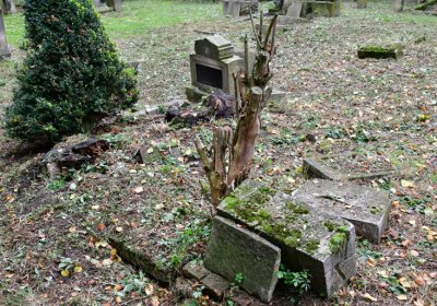 Minice, Omnium, 2020