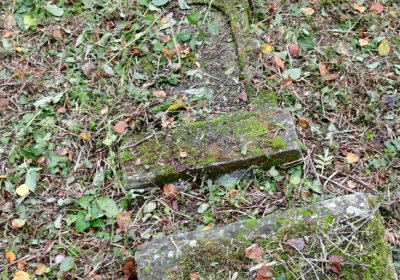 Minice, Omnium, 2020